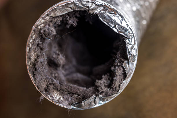 Best HVAC Air Duct Cleaning  in Craig, AK